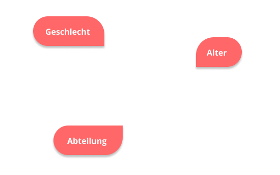 Beispiele für Unterpunkte zu soziodemografischen Angaben